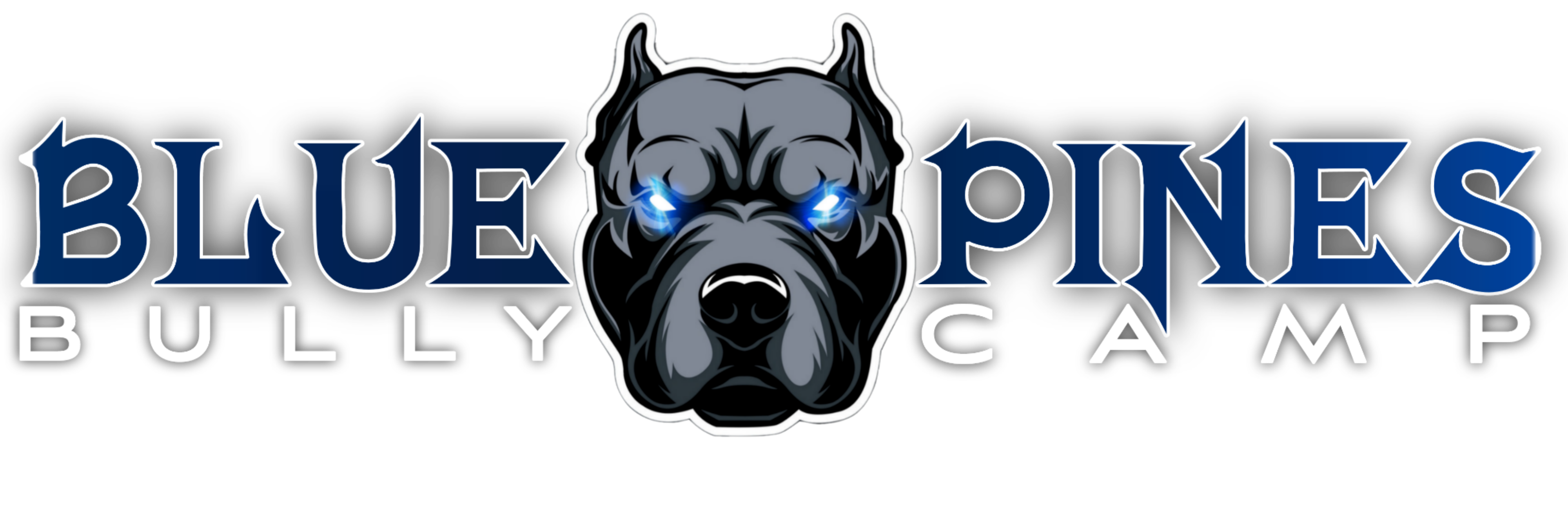 Your Guide To American Bully Training Blue Pines Bully Camp